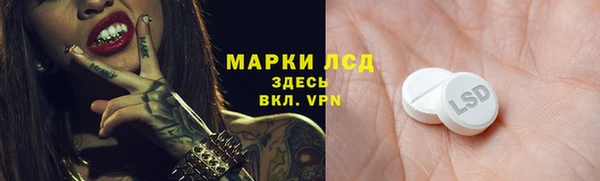 стаф Козельск