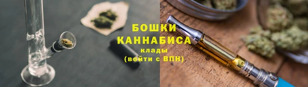 стаф Козельск