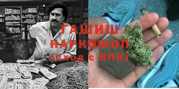 стаф Козельск