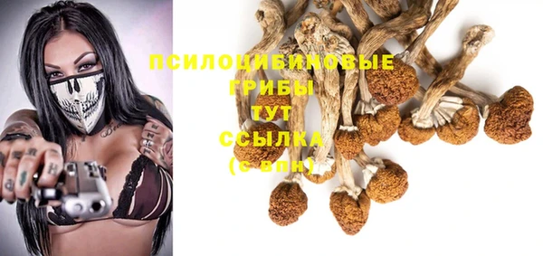 ALPHA-PVP Козловка
