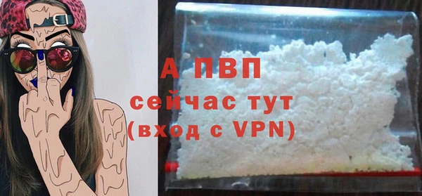 стаф Козельск