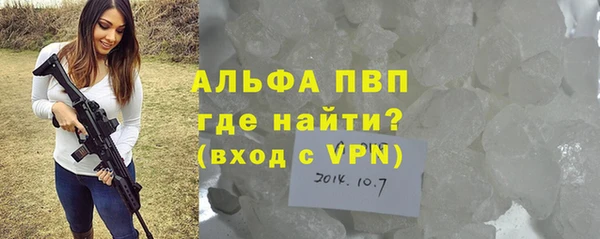 стаф Козельск