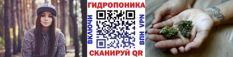 МАРИХУАНА сатива  Купить где  Иланский 